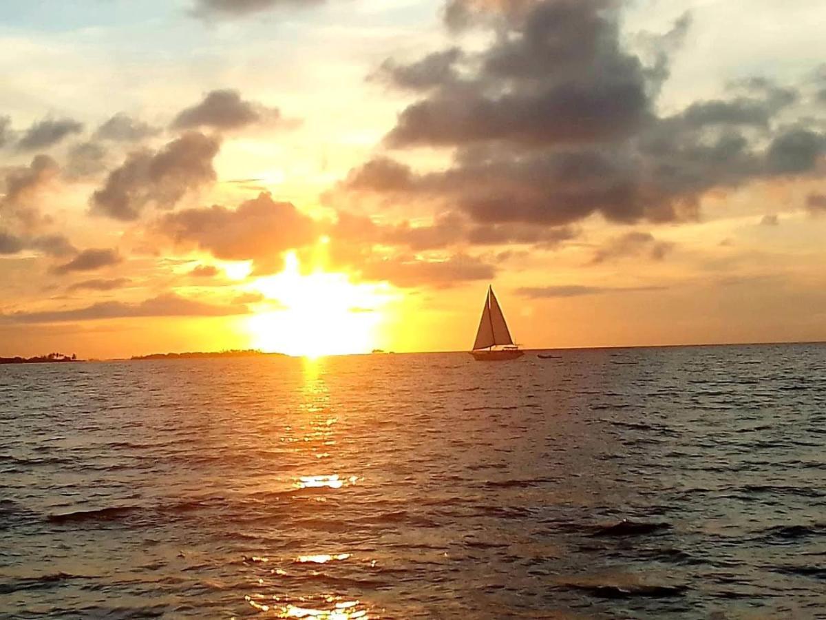 Sanblasonsailboats El Porvenir Esterno foto
